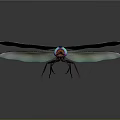 Vibrant Dragonfly With Blue Wings Colorful Eyes And Dark Body Blue Stripes