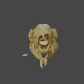 Detailed Animal Skull Anatomical Structure Featuring Natural Bone Texture And Teeth