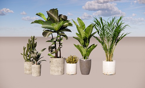 Green plant combination potted plant combination 3d model