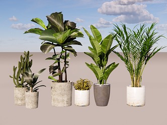 Green plant combination potted plant combination 3d model