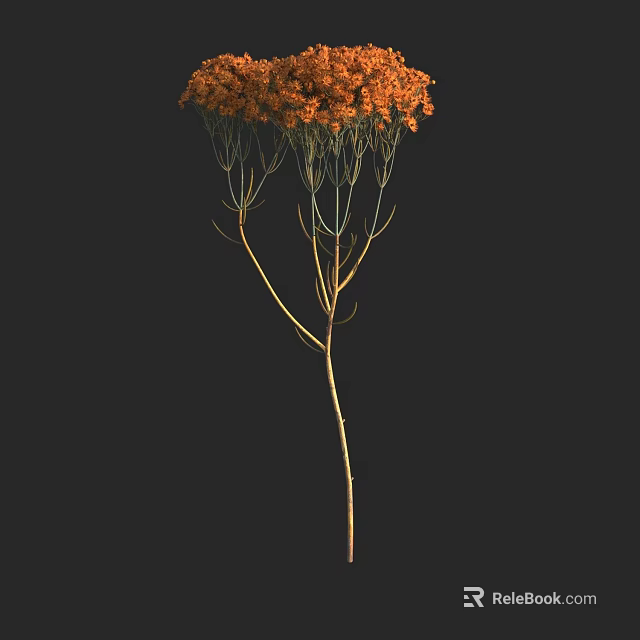 Orange Flower Cluster In Elegant Vase With Slender Stems On Dark Backdrop 3d model