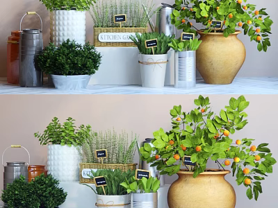 Various Decorative Bonsai Potted Plants In Different Containers With Greenery And Labels 3d model