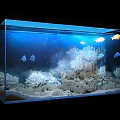 Colorful Tropical Fish Swimming in Aquarium with Coral Reef and White Sand