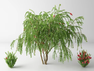Ornamental Arbor Tree with Green Weeping Branches Red Flowers and Small Shrubs 3d model