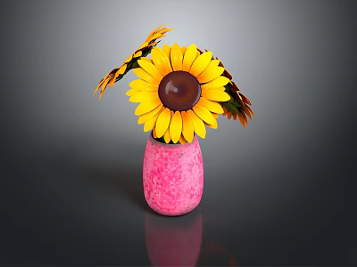 Pink Vase With Bright Yellow Sunflowers And Dark Center On Dark Background 3d model