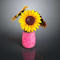 Pink Vase With Bright Yellow Sunflowers And Dark Center On Dark Background
