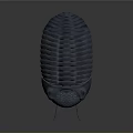 Detailed Prehistoric Trilobite 3D Model With Textured Exoskeleton And Antennae