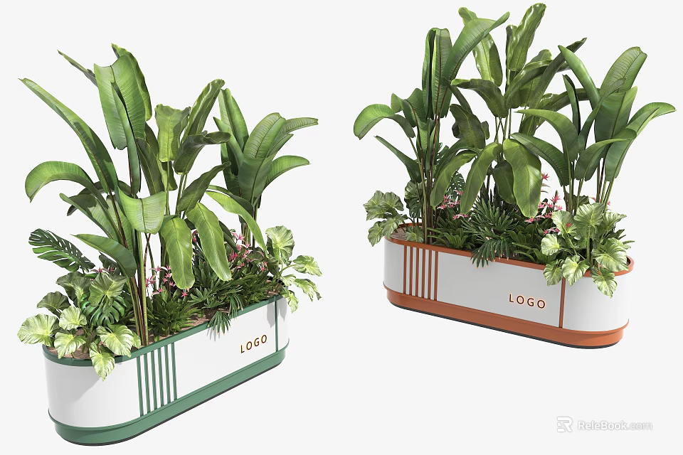 Potted Bonsai Plants With White Container Green Orange Trim Large Green Leaves And Decorative Foliage 3d model 