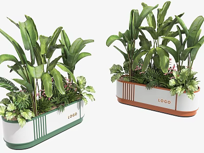 Potted Bonsai Plants With White Container Green Orange Trim Large Green Leaves And Decorative Foliage 3d model