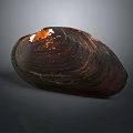 Shell Cartoon Pearl Pink Red Shell Mussel Clam Freshwater Pearl Seawater Pearl Nanyang Pearl 3d model