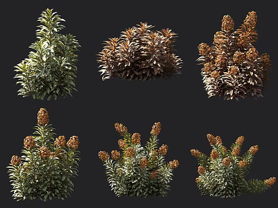 Diverse Flowering Bushes Display With Green Brown Foliage And Orange Blooms 3d model