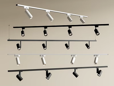 Modern Multiple Track Downlights And Spotlights In Black And White Home Lighting 3d model