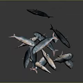 School of Silver Blue Fish Swimming in Dynamic Arrangement on Dark Background