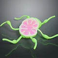 3D Rendered Biological Microorganism Model With Pink Core And Green Appendages On Black Surface