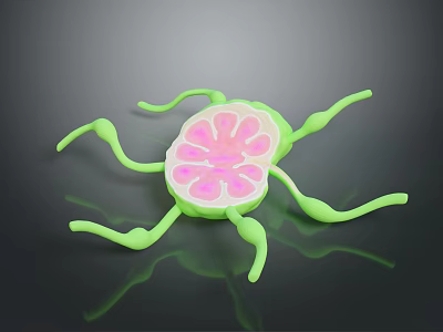3D Rendered Biological Microorganism Model With Pink Core And Green Appendages On Black Surface 3d model