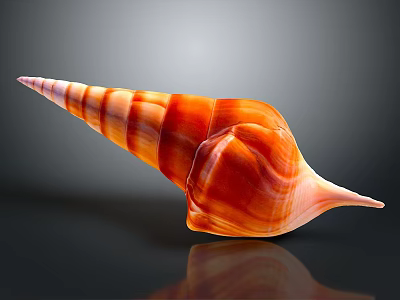 Intricately Carved Conch Shell Sculpture With Spiral Shape Orange Red Stripes On Black Reflective Surface 3d model