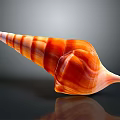 Intricately Carved Conch Shell Sculpture With Spiral Shape Orange Red Stripes On Black Reflective Surface