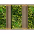 Decorative Indoor Living Plant Wall Design With Vertical Garden Panels And Natural Greenery
