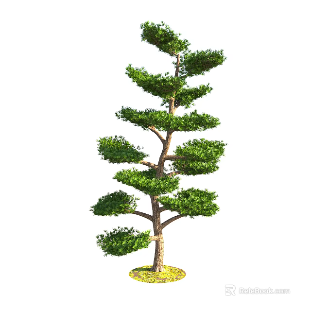 Elegant Tall Arbor Featuring Lush Green Foliage And Well Defined Branch Structure 3d model 