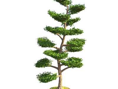 Elegant Tall Arbor Featuring Lush Green Foliage And Well Defined Branch Structure 3d model