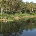 Serene Park Landscape With Calm Lake Tree Reflections On Water Lush Shore Trees And Grass