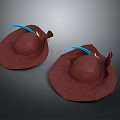 Stylish Brown Wide Brim Hats With Blue Feathers For Daily Life Accessories