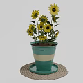 Potted Sunflower Plant In Blue Green And White Striped Pot On Woven Mat
