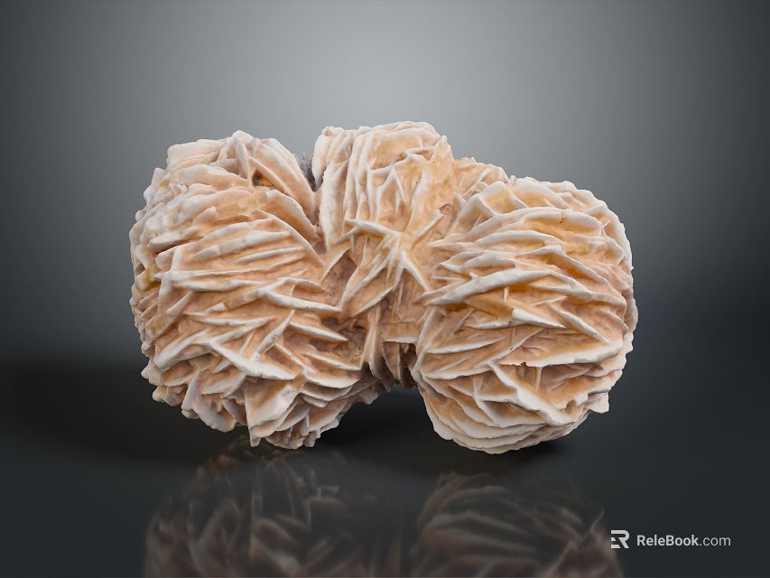 Coral Red Coral White Coral Blue Coral Gold Coral Black Coral Ball Coral Grass Coral Fine Finger Anemone 3d model