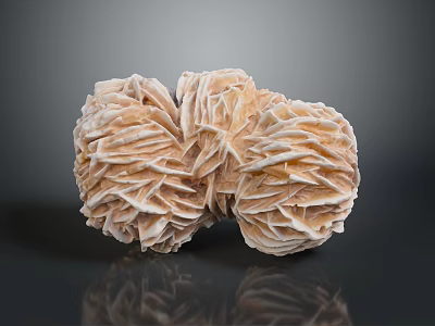 Unique Marine Aquatic Animal With Pale Brown Folded Texture And Clustered Formation 3d model