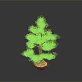 Bonsai Pine Tree With Lush Green Foliage In Red Pot On Isolated Background