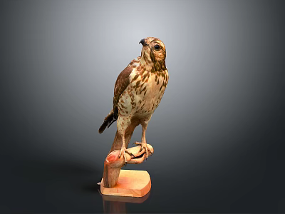Lifelike Eagle Perched On Wooden Base With Detailed Feather Texture 3d model