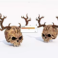 Medical Teaching Skull Models With Antlers For Educational Training Purposes