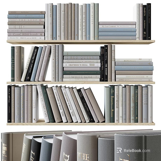 Neatly Arranged Books and Magazines on Wooden Bookshelf with Multiple Shelves and Various Colors 3d model 