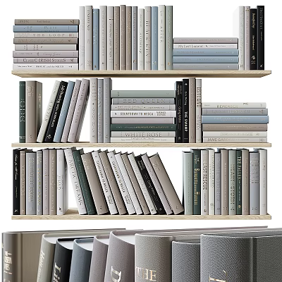 Neatly Arranged Books and Magazines on Wooden Bookshelf with Multiple Shelves and Various Colors 3d model