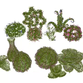Various Shaped Decorative Shrubs With Colorful Flowers For Garden Landscaping