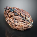 Natural Walnut with rough brown shell and detailed texture on dark reflective background