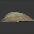 Large Vibrant Striped Clam Shell With Natural Texture On Dark Background Surface 3d model