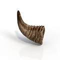 Cow Horn With Natural Texture And Curved Shape On White Background