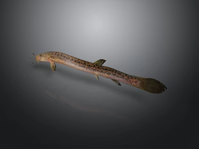 Slender Spotted Freshwater Fish 3D Rendered with Detailed Texture as Aquatic Animal 3d model