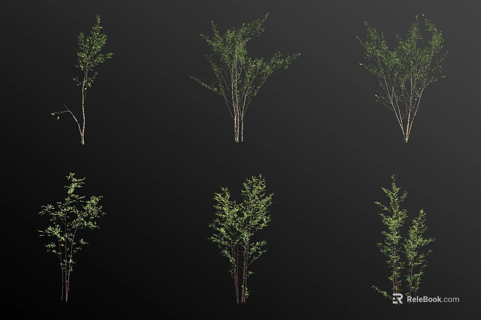 Arbor Varieties With Green Foliage And Natural Trunk Structures For Landscaping 3d model