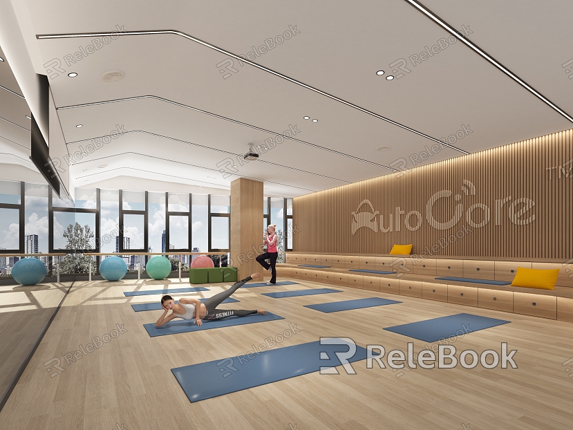 Modern Yoga Room Log Color Yoga Room model