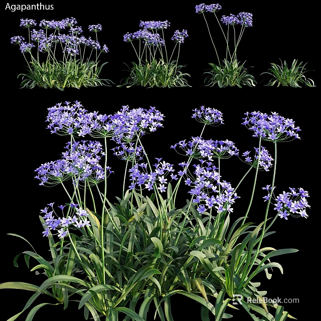 Decorative Garden Ornaments With Clustered Purple Flowers And Green Leaves 3d model 