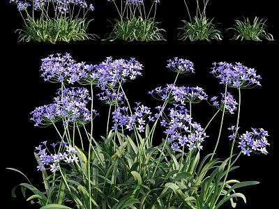 Decorative Garden Ornaments With Clustered Purple Flowers And Green Leaves 3d model