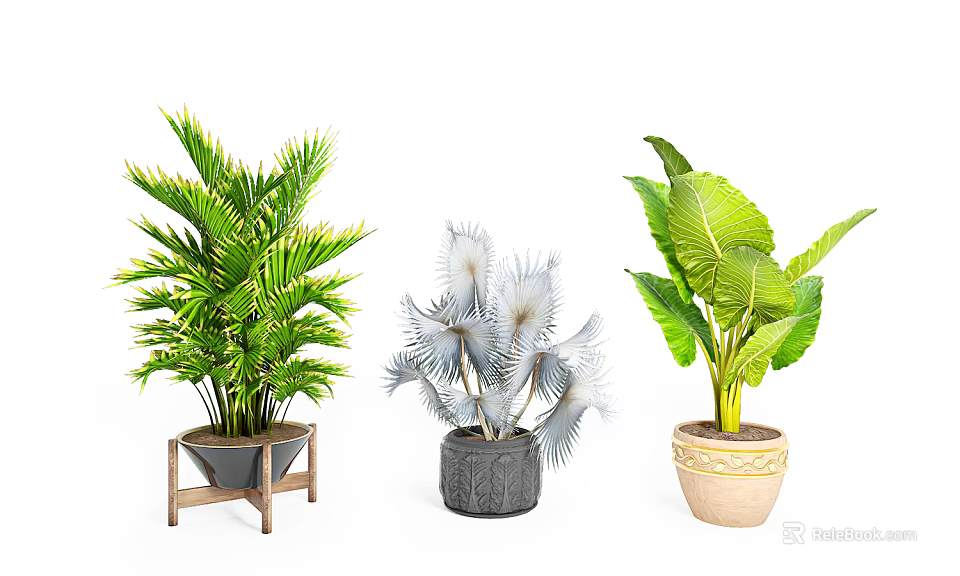Bonsai Potted Plants with Three Different Leaf Types in Wooden Gray and Beige Pots 3d model 