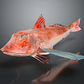 Vibrant Red Sea Fish With Distinctive Blue Fins And Sharp Facial Features On Dark Background