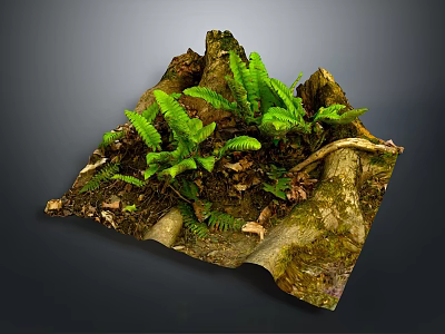 Wooden Stone Decorative Display with Green Ferns and Fallen Leaves in Natural Style 3d model