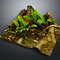 Wooden Stone Decorative Display with Green Ferns and Fallen Leaves in Natural Style