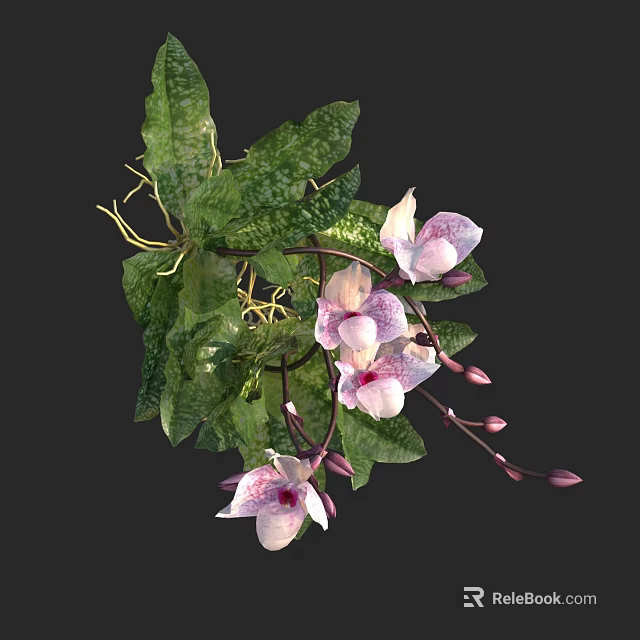 Fresh Pink And White Orchid Blooms With Green Spotted Leaves And Vine Details 3d model 