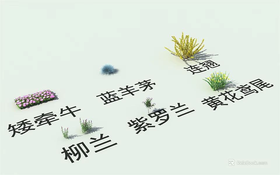 Collection of Morning Glory Blue Fescue Forsythia Violet and Willowherb Flowers 3d model 