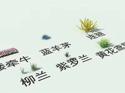 Collection of Morning Glory Blue Fescue Forsythia Violet and Willowherb Flowers 3d model